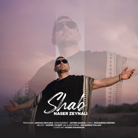 دانلود آهنگ ناصر زینلی شب
